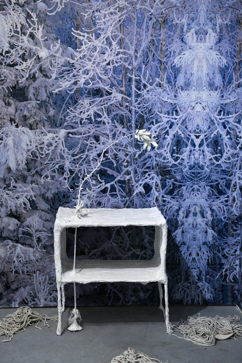 Rachel Lee Hovnanian: The Women's Trilogy Project