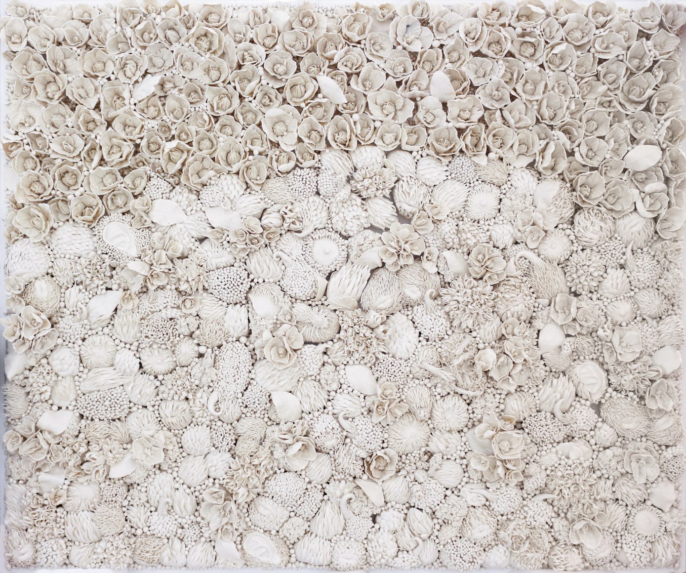 Habitat The Tarantula, 2019