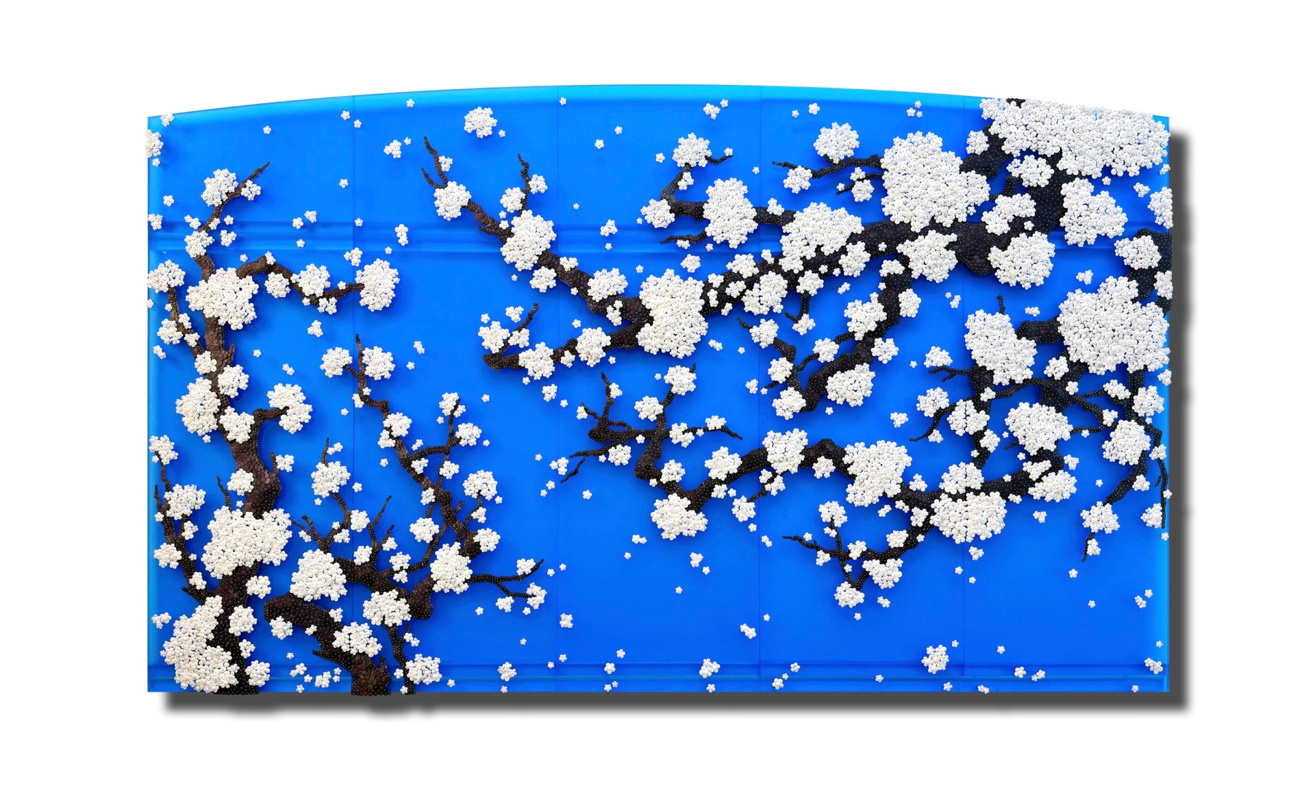 Ran Hwang, Becoming Again_BSA, 2025&nbsp;