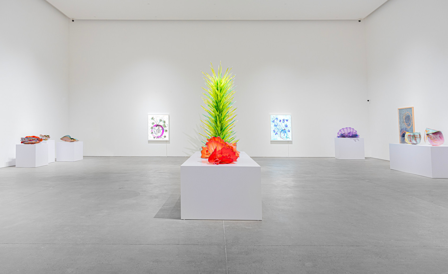 Chihuly: Four Decades of Iconic Work
