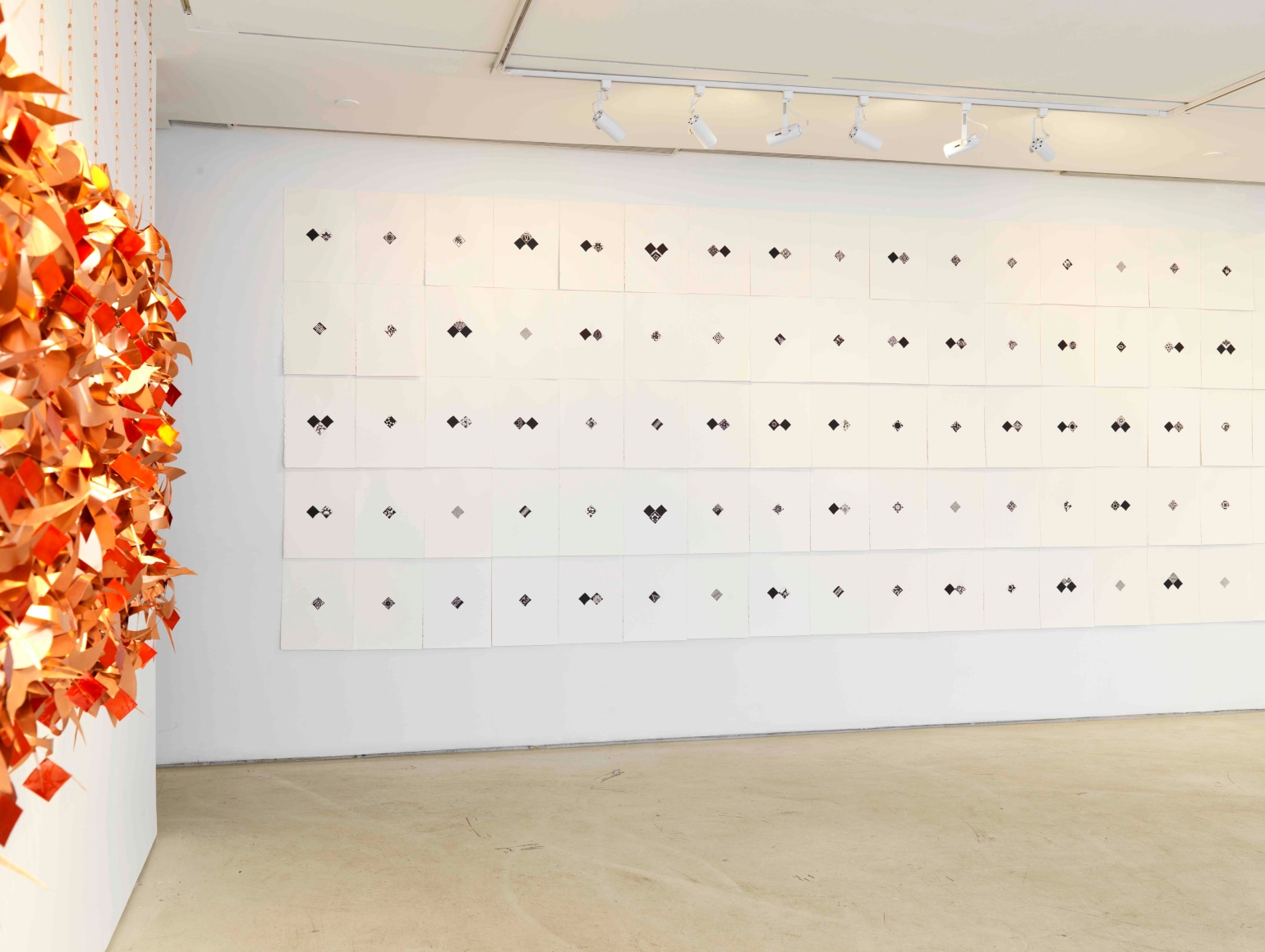 Pouran Jinchi: Black and Blue