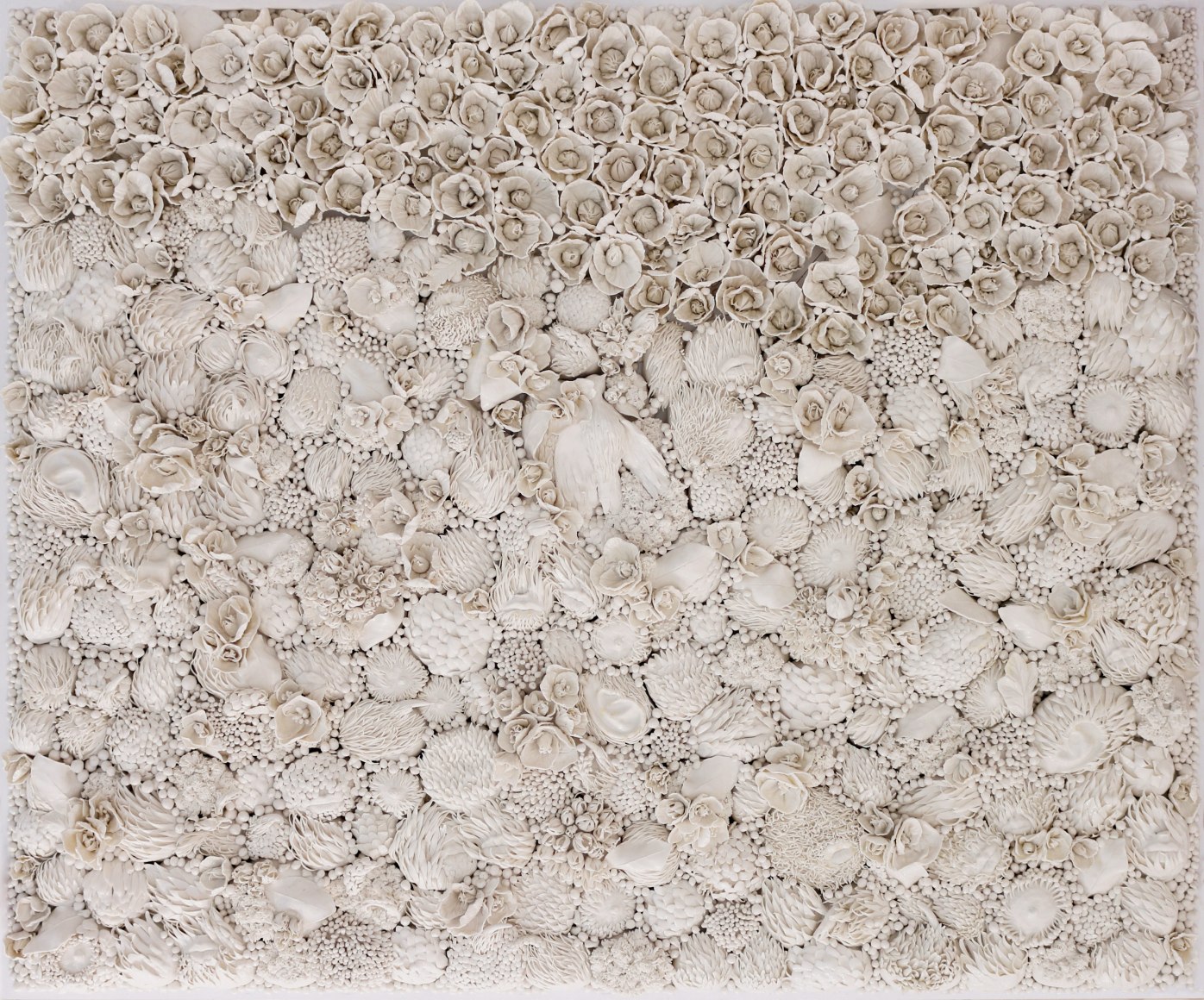 Habitat The Bird, 2019