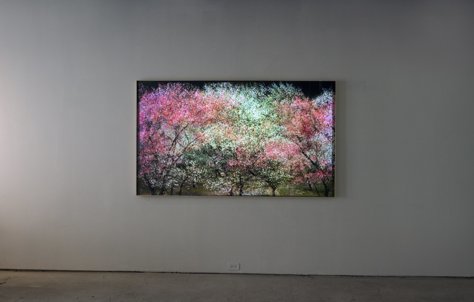 Shoja Azari &amp; Shahram Karimi: The Cold Earth Sleeps Below