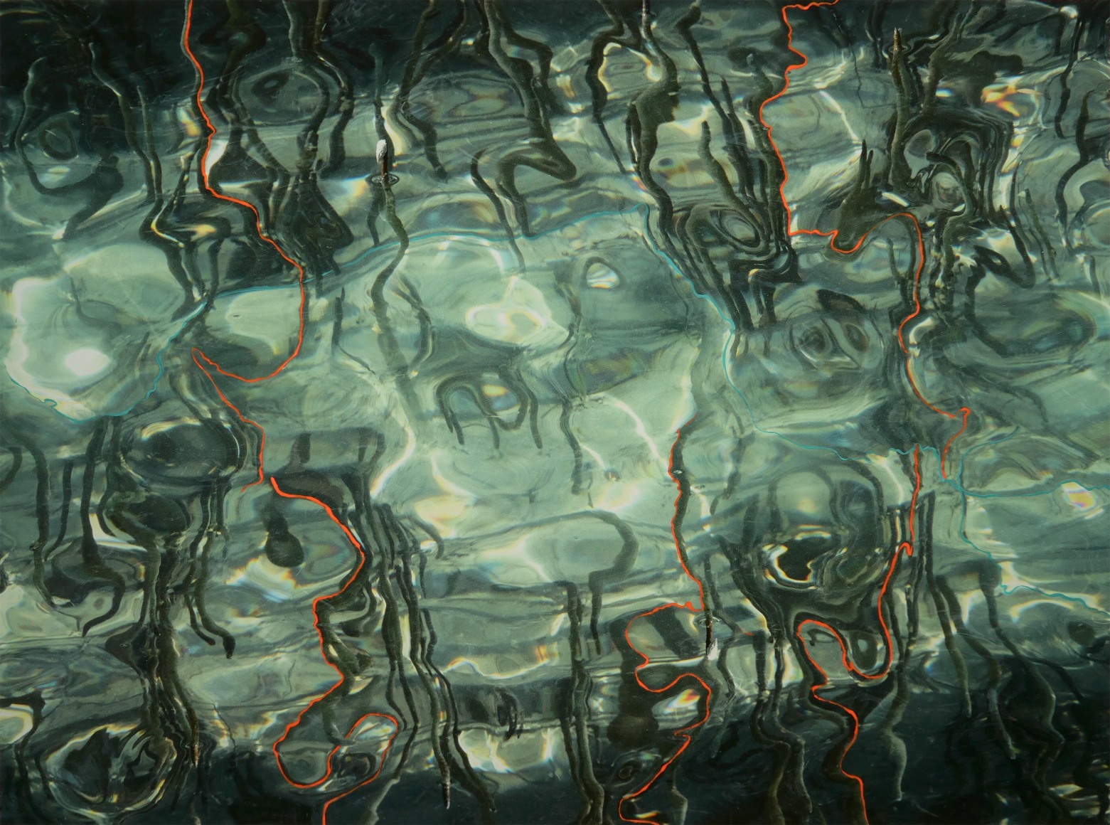 Maxi Cohen, Jubail Mangrove Park, Abu Dhabi, 2023