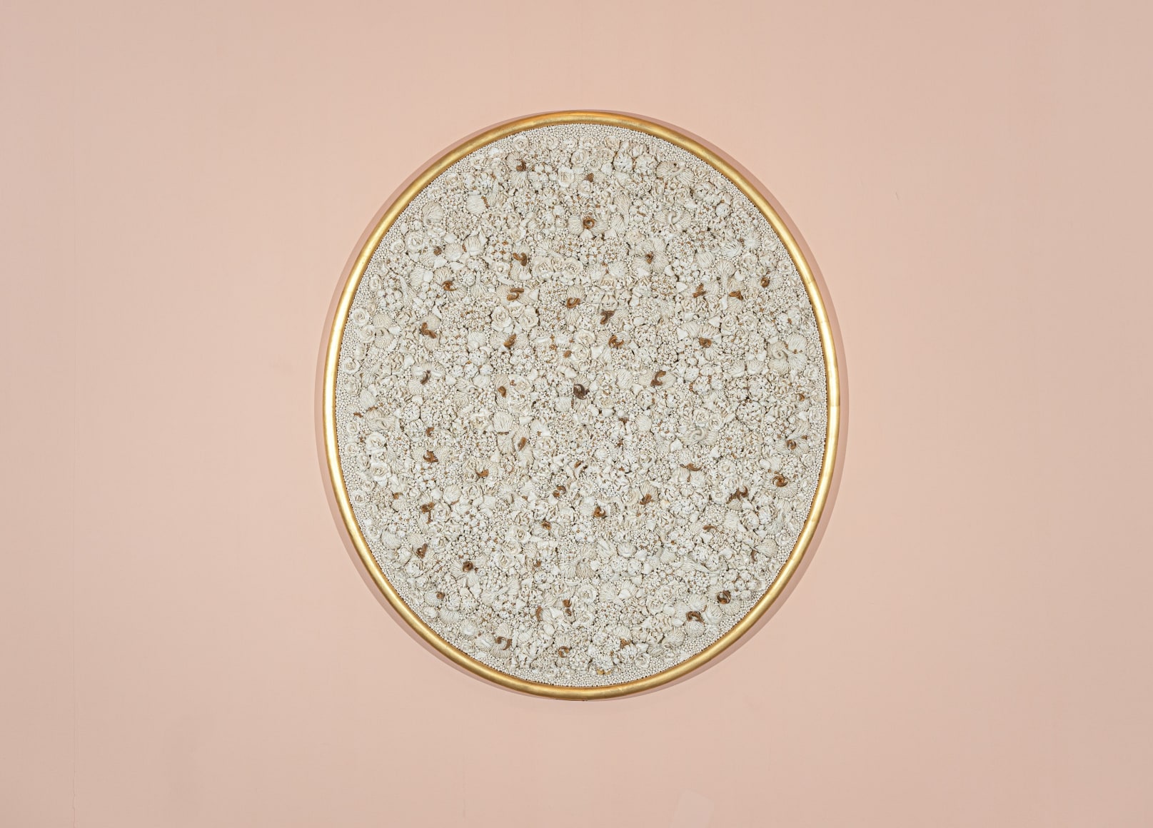 Melis Buyruk, Falcon&rsquo;s Habitat, 2022