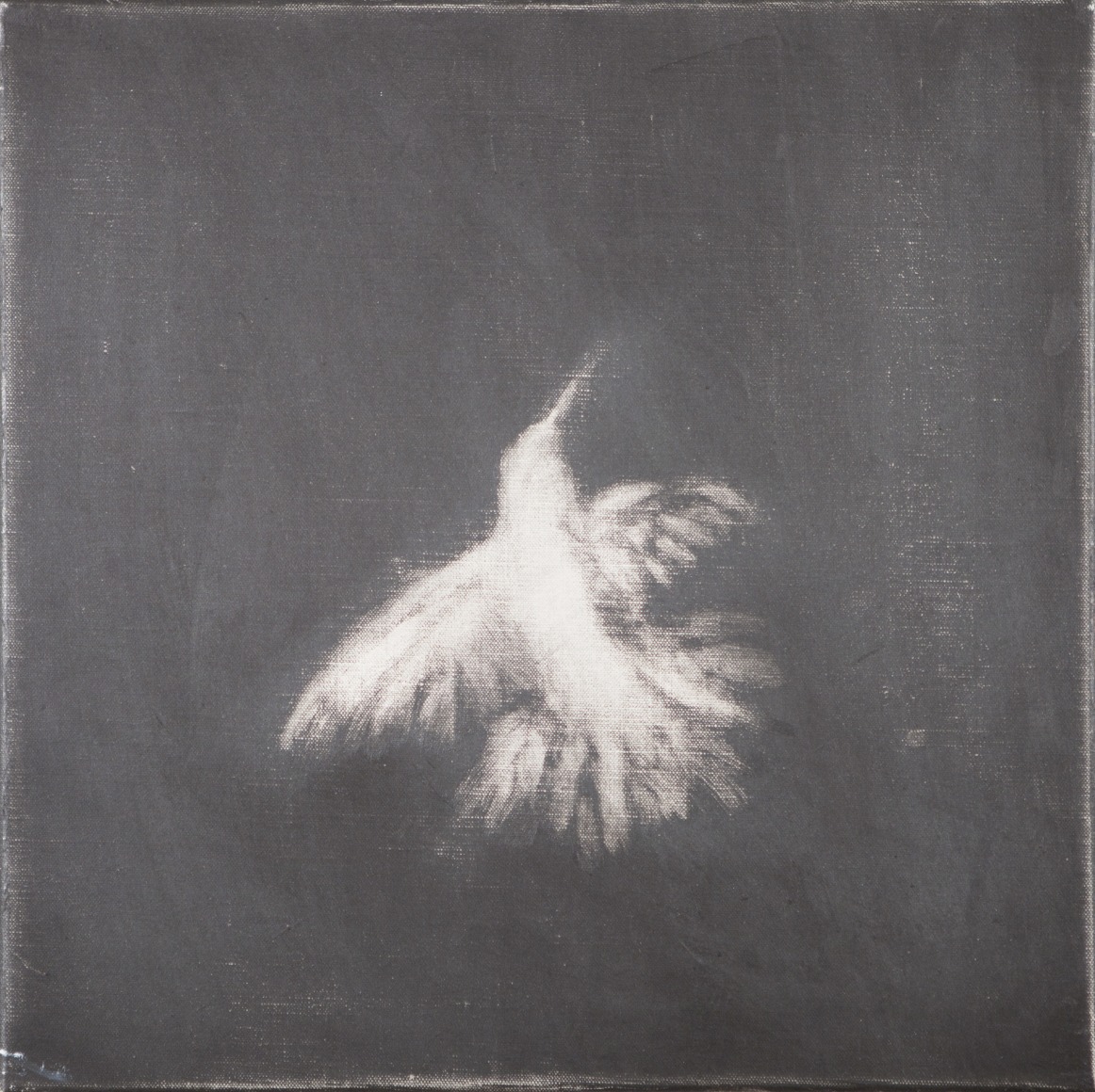 Untitled, 2015, Oil on linen