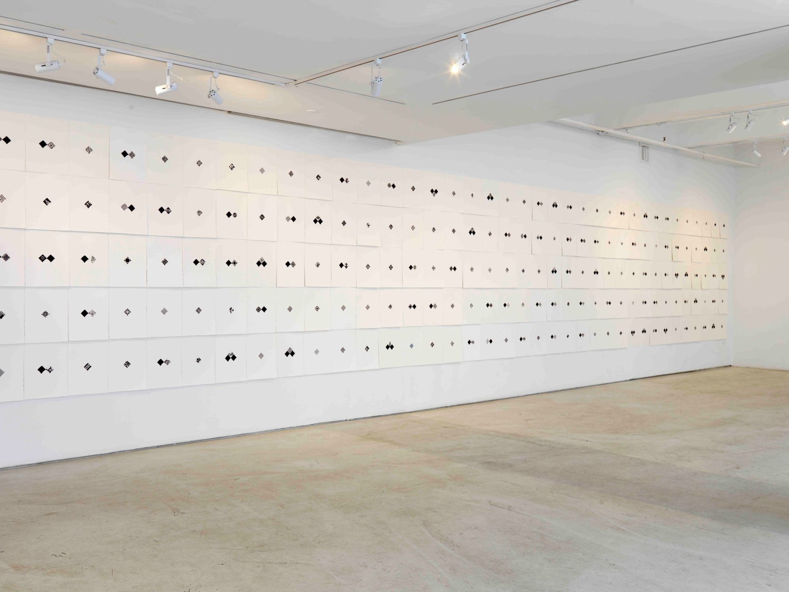 Pouran Jinchi: Black and Blue