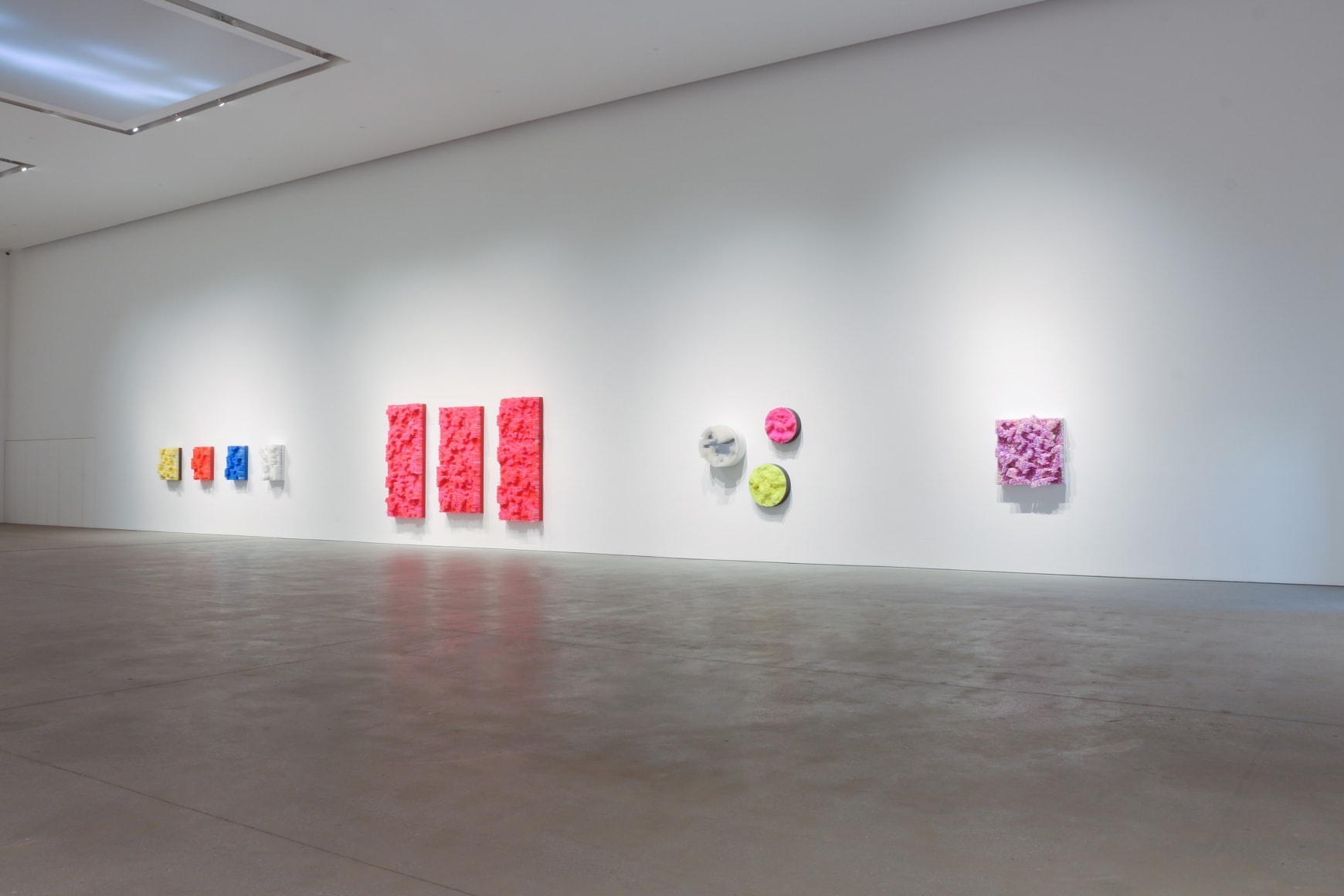 Francesca Pasquali - MATERIAL ANATOMY