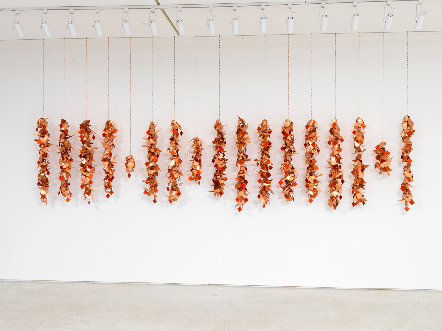 Pouran Jinchi: Black and Blue