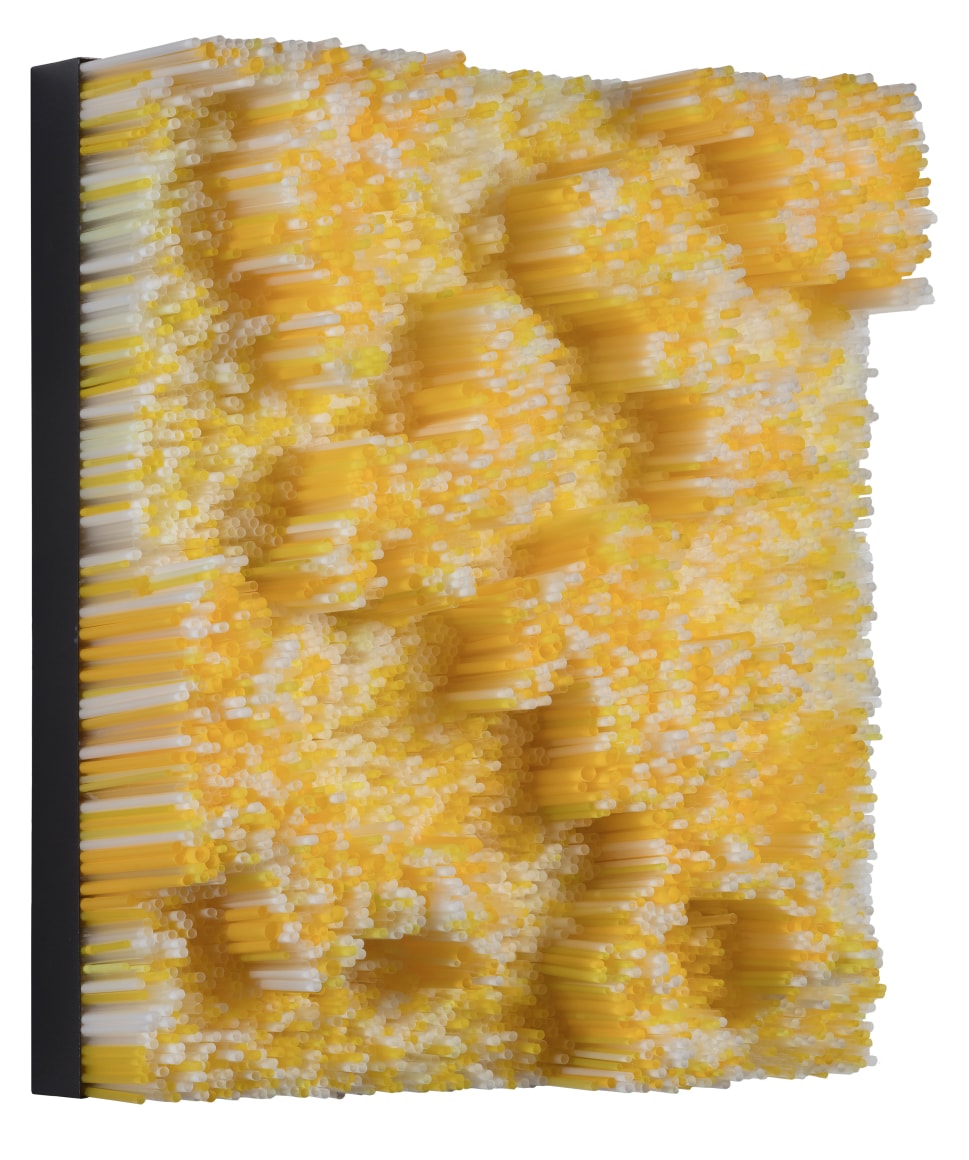 Straws, 2017 Straws on Wood Panel with Metal Frame