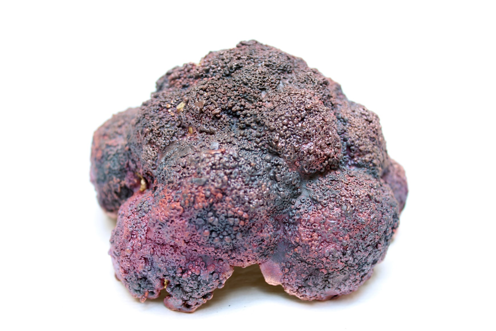 Julie Hamisky Broccoli Head I, 2019