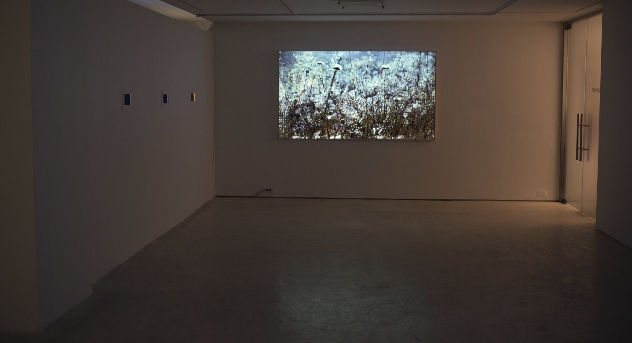 Shoja Azari &amp; Shahram Karimi: The Cold Earth Sleeps Below