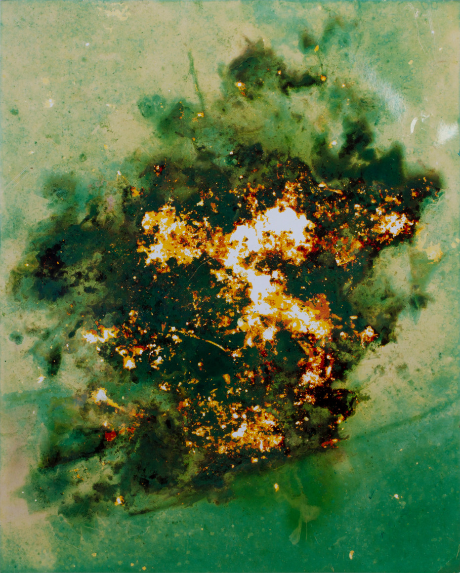 Ryan Foerster Compost print green, 2013-14