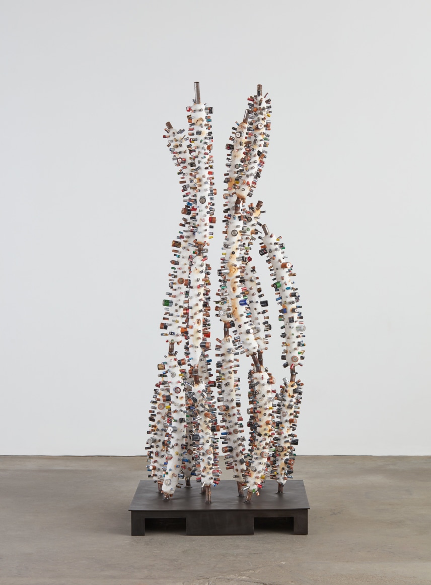 Evan Holloway Bones, 2017