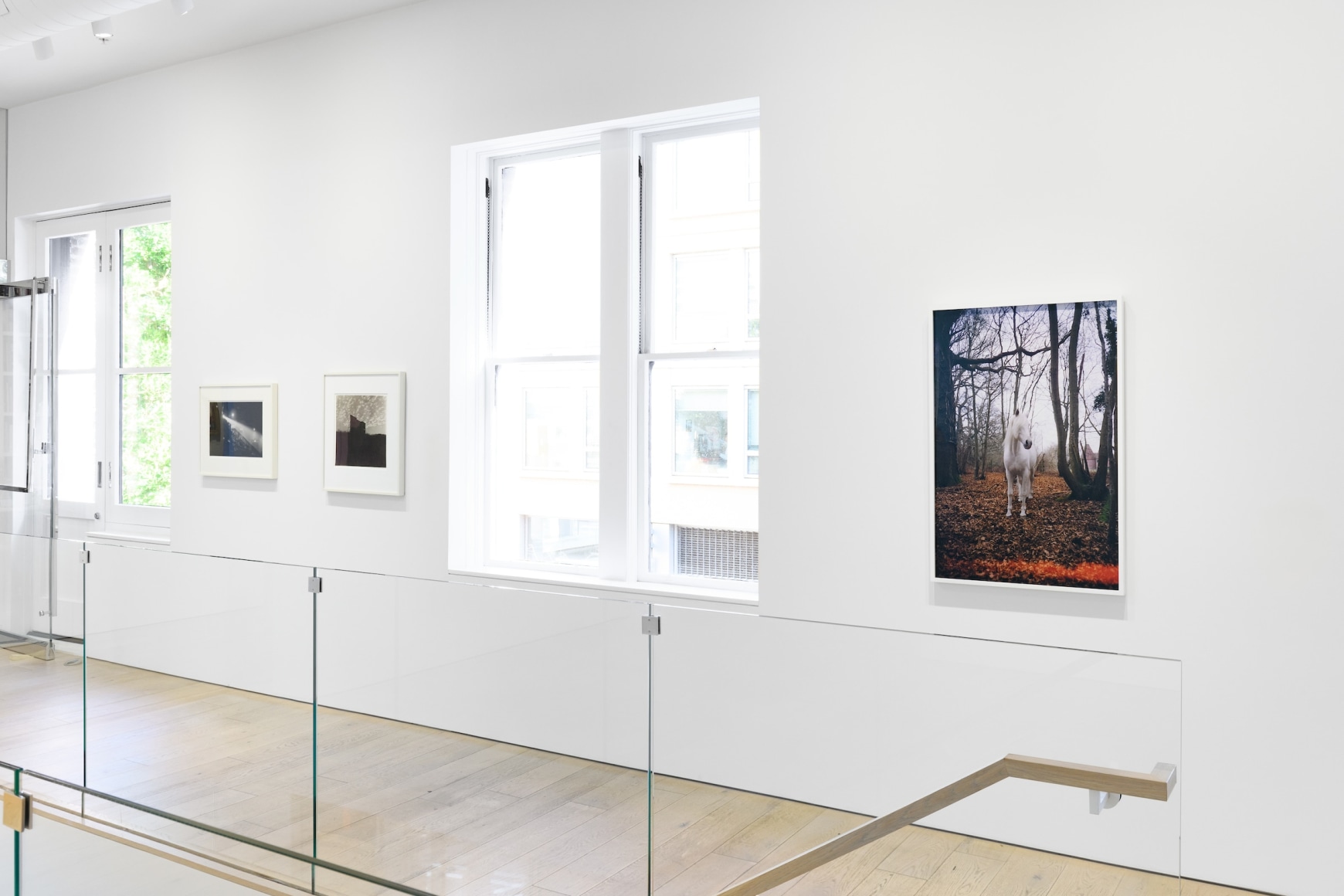 Installation photography by Shaun Roberts.