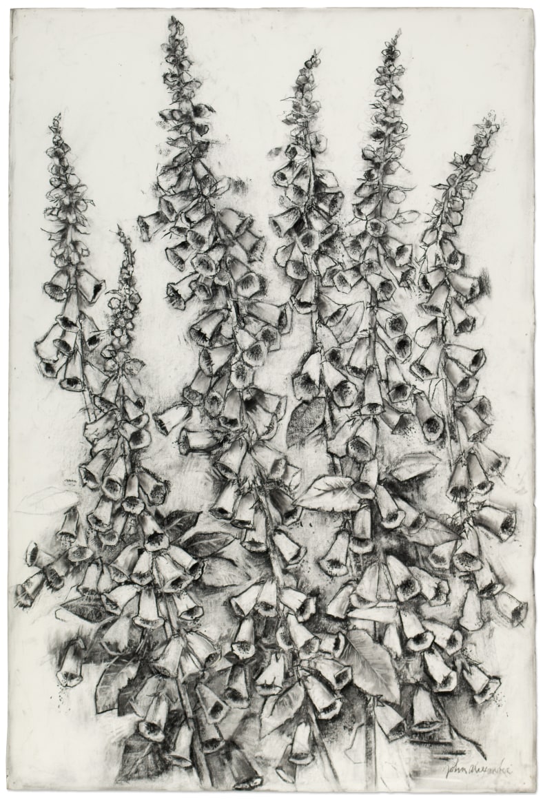 John Alexander, Foxgloves in Love, 2016    