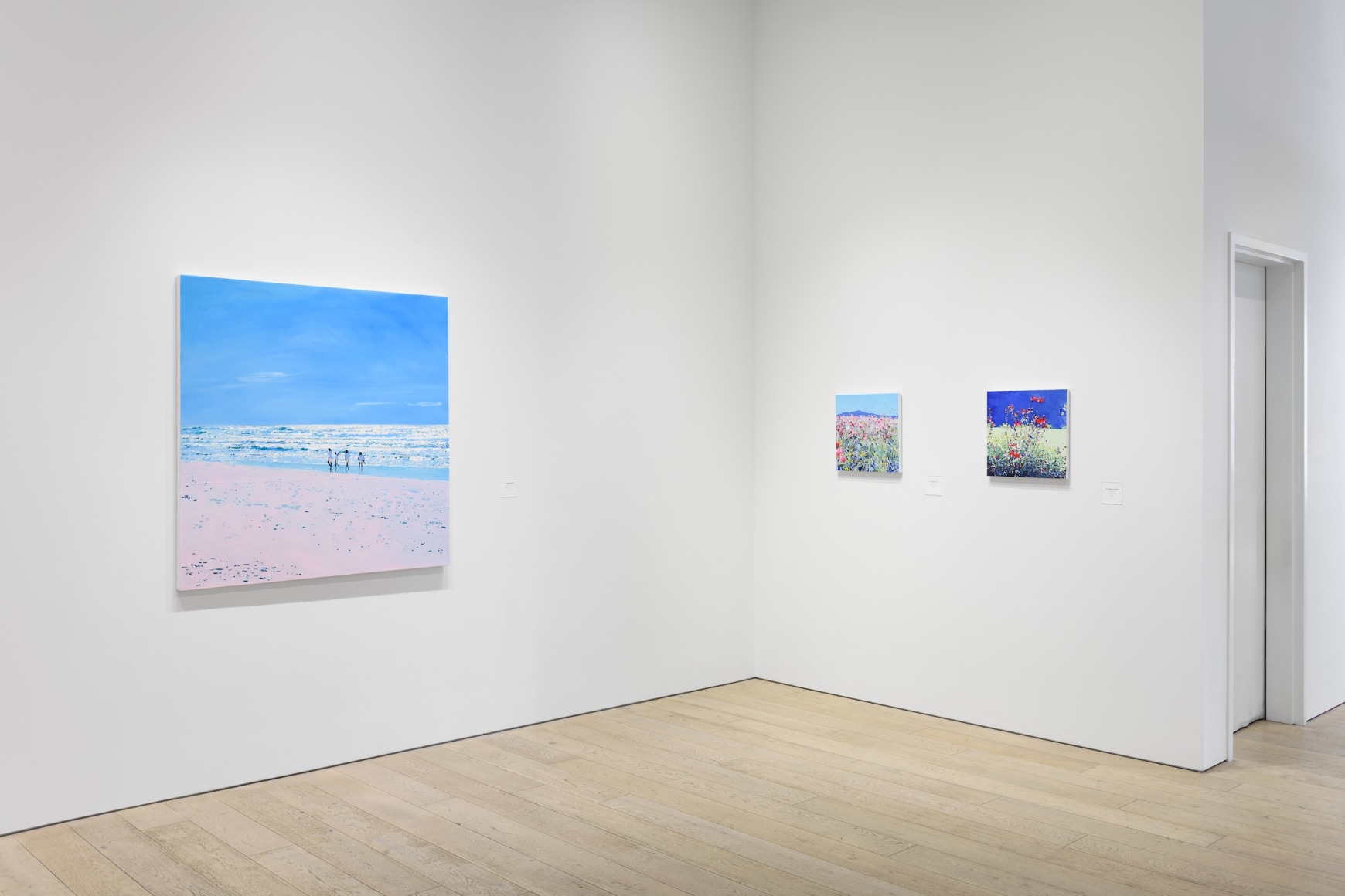 Installation photography by Shaun Roberts