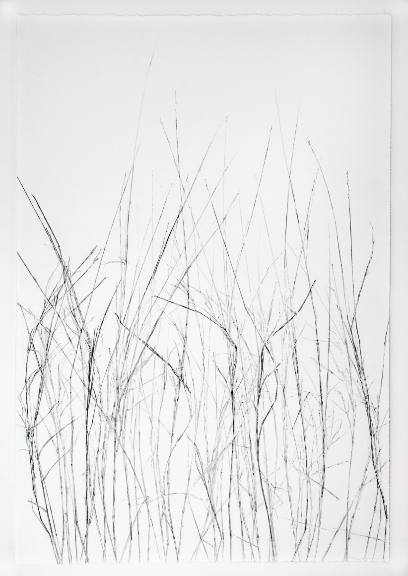 Linda Ridgway Grassland I, Third State, 2018