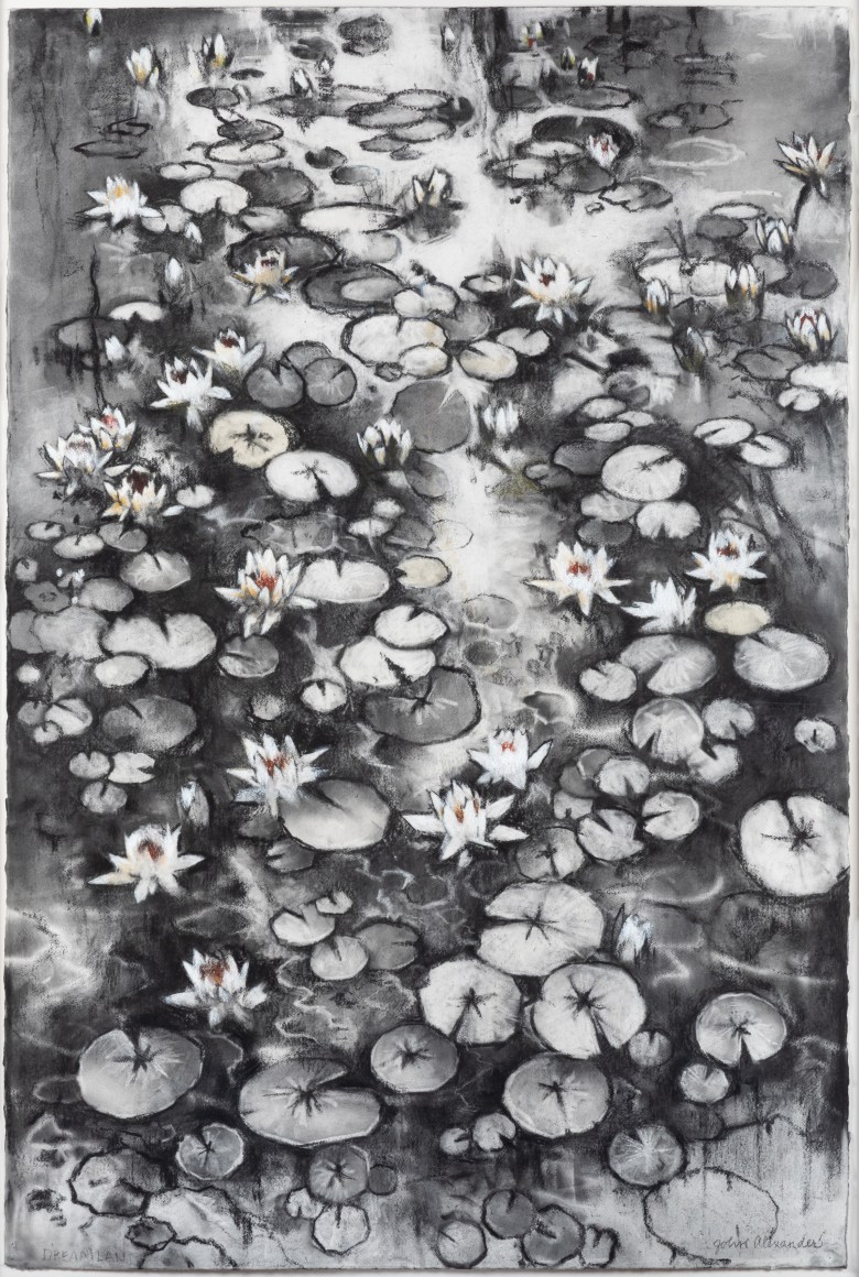 John Alexander Dreamland, 2019