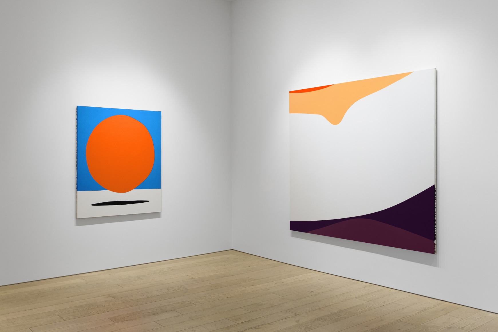 Installation photography by Shaun Roberts.