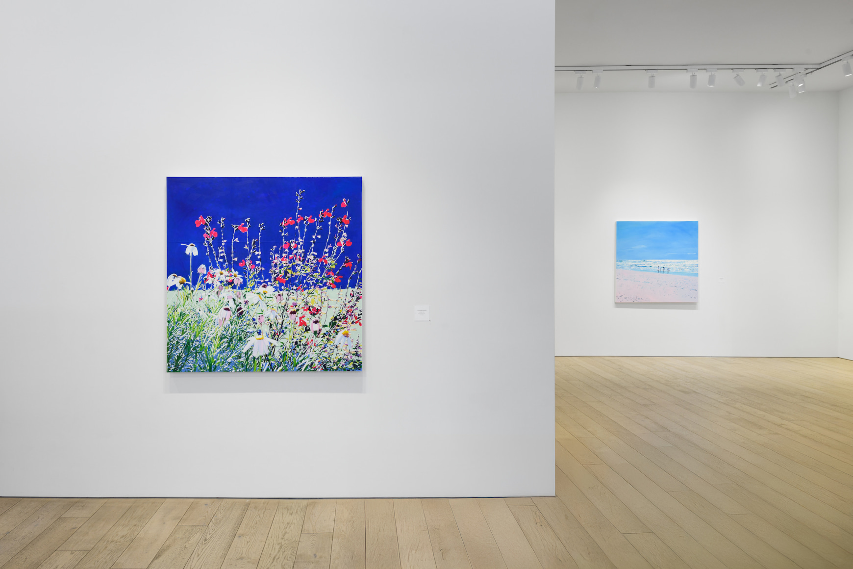 Installation photography by Shaun Roberts