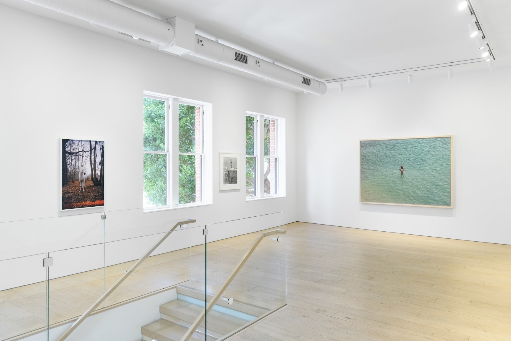 Installation photography by Shaun Roberts.