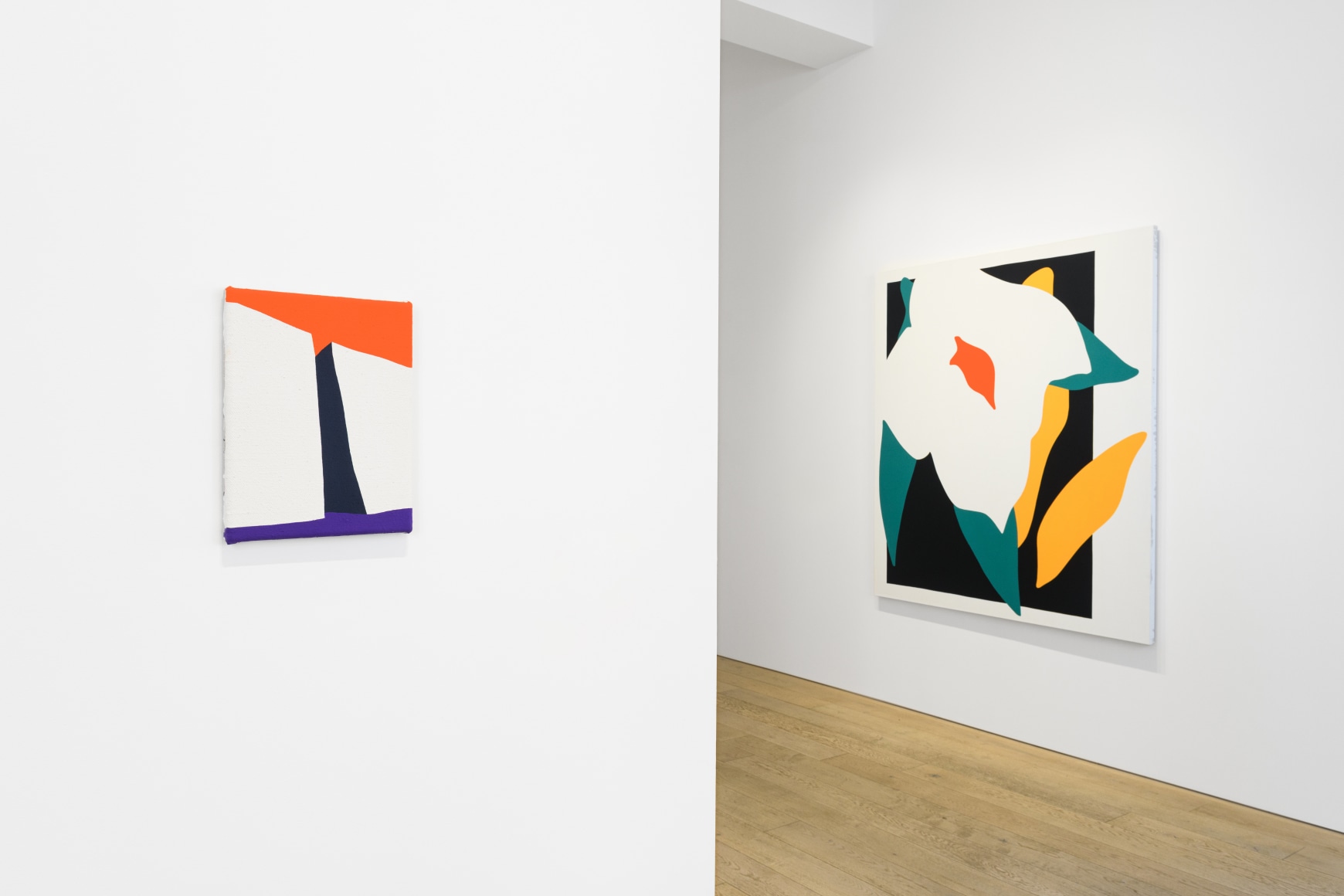 Installation photography by Shaun Roberts.