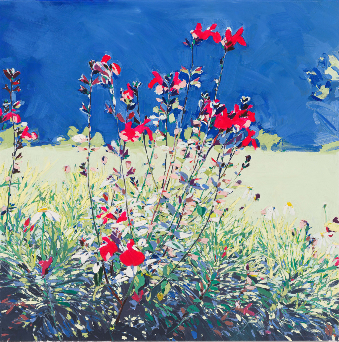 Isca Greenfield-Sanders Red Wildflowers, 2025