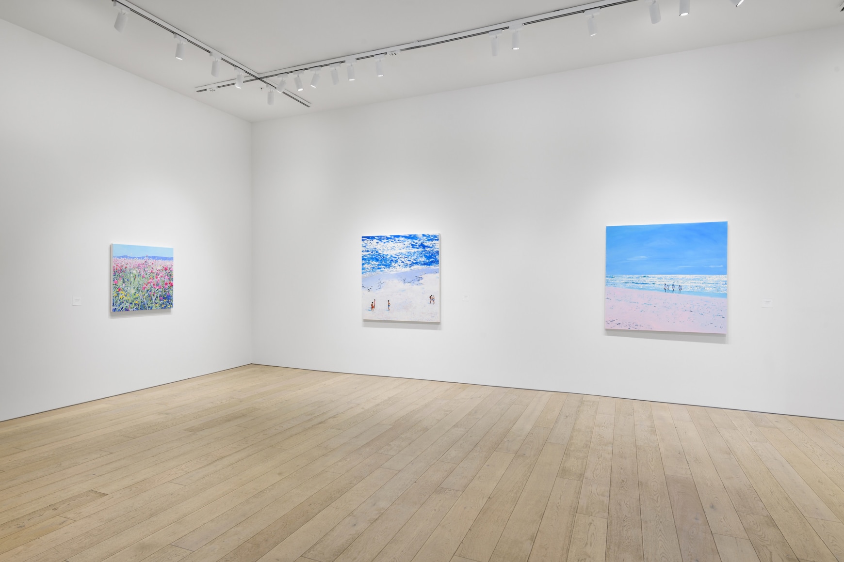 Installation photography by Shaun Roberts