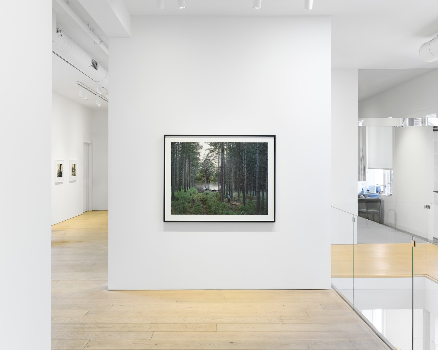Installation photography by Shaun Roberts.