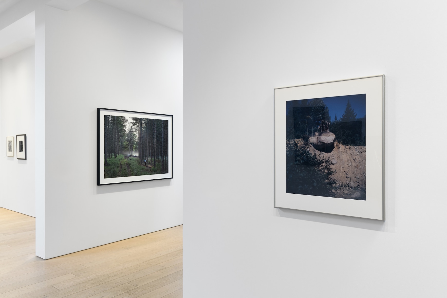 Installation photography by Shaun Roberts.