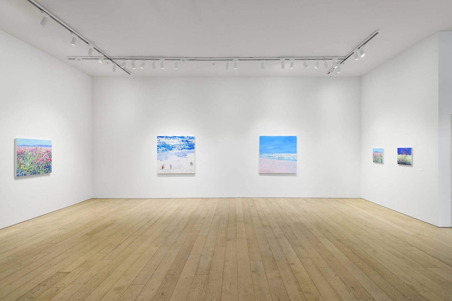 Installation photography by Shaun Roberts