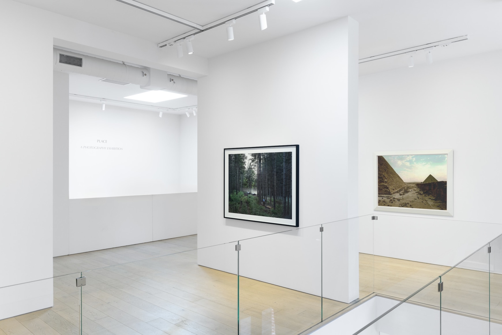 Installation photography by Shaun Roberts.