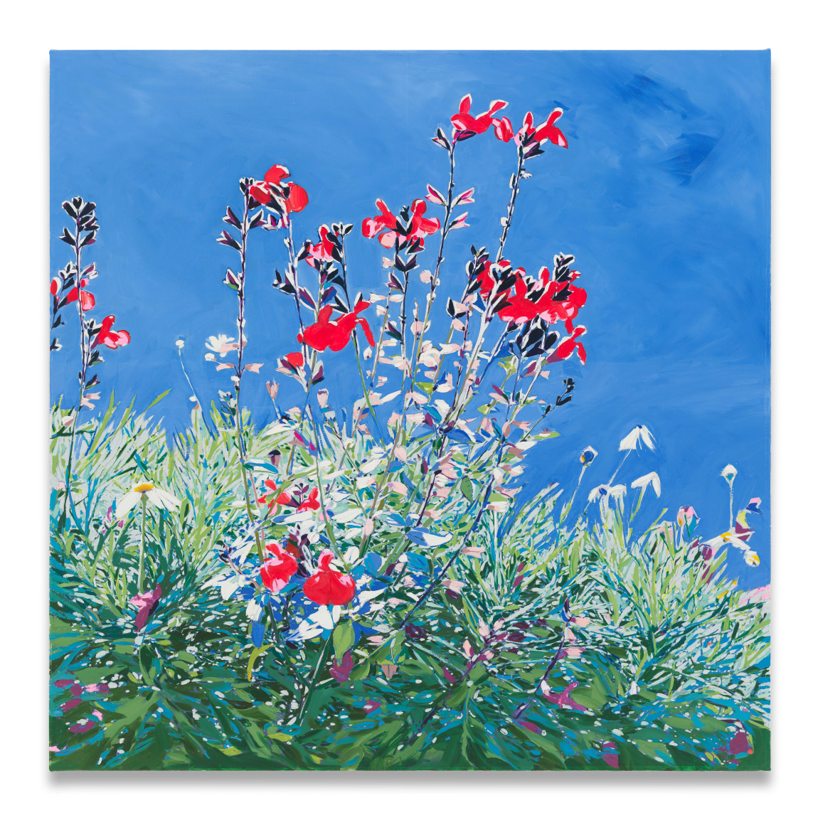 Isca Greenfield-Sanders Red Wildflowers, 2025