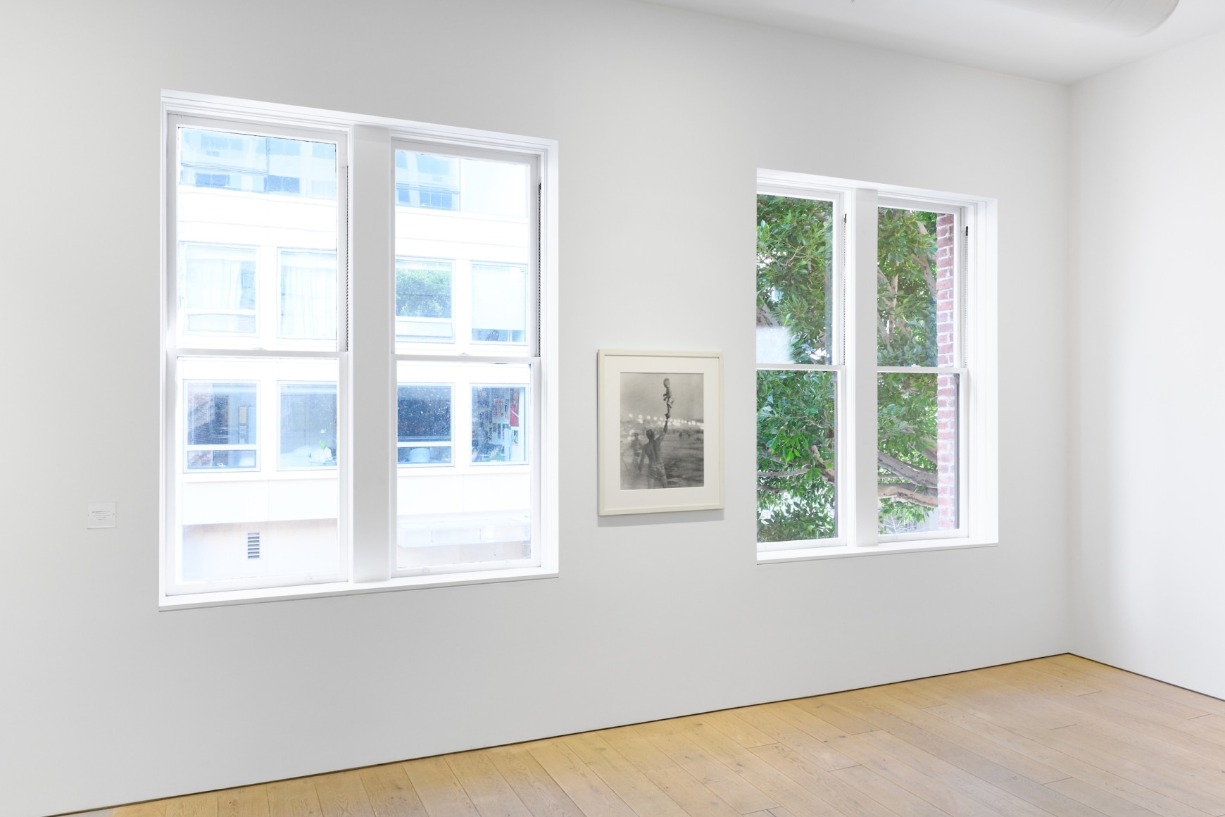 Installation photography by Shaun Roberts.