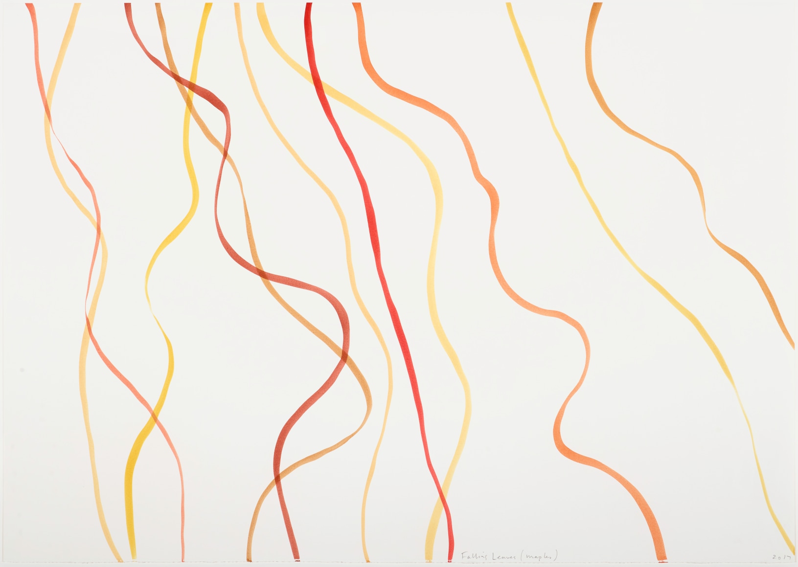 Spencer Finch Falling Leaves (maple), 2017