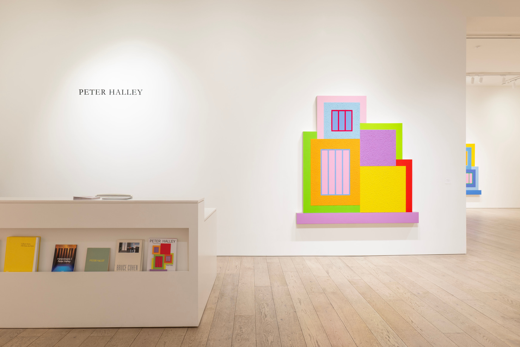 Installation view of Peter Halley. 