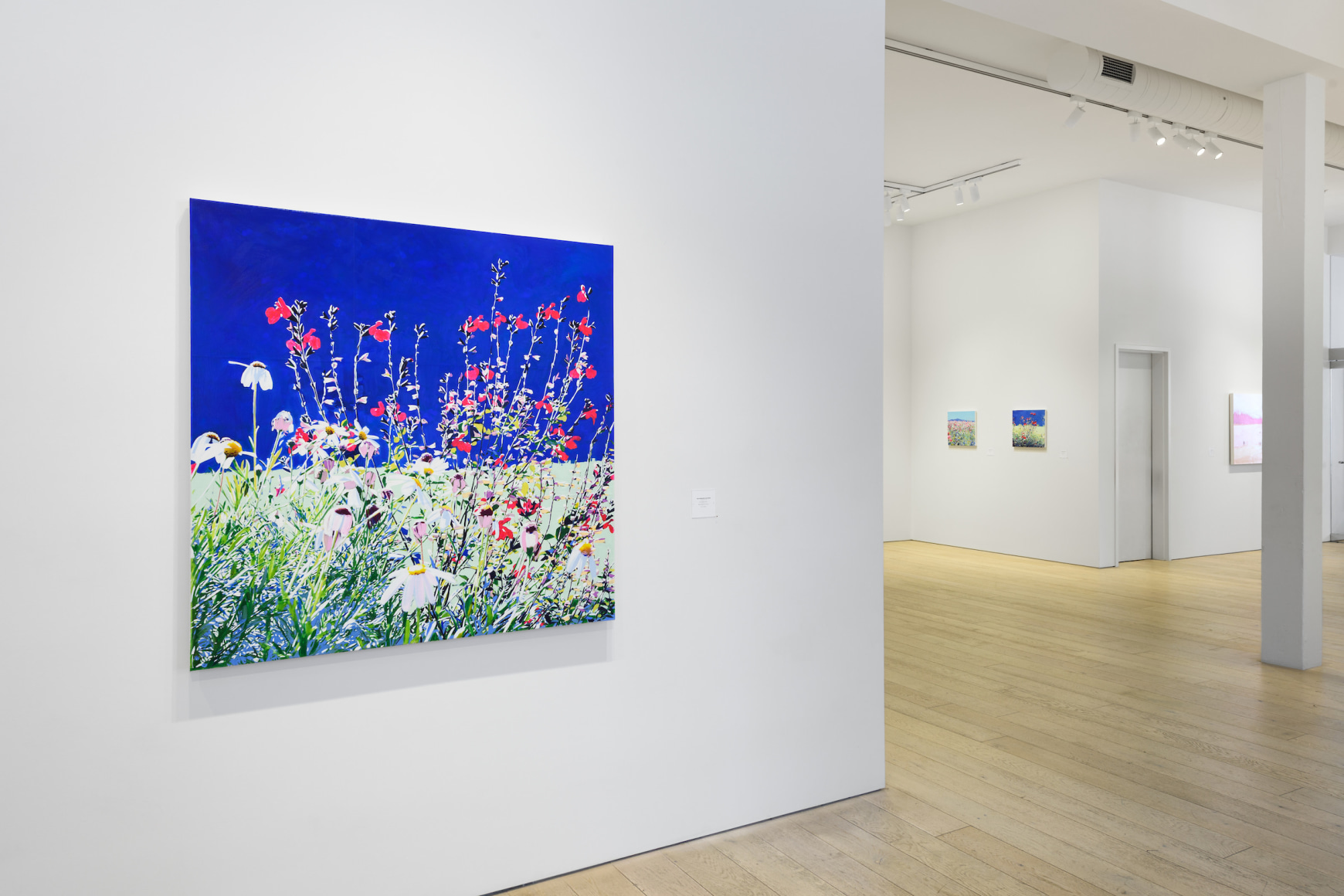 Installation photography by Shaun Roberts