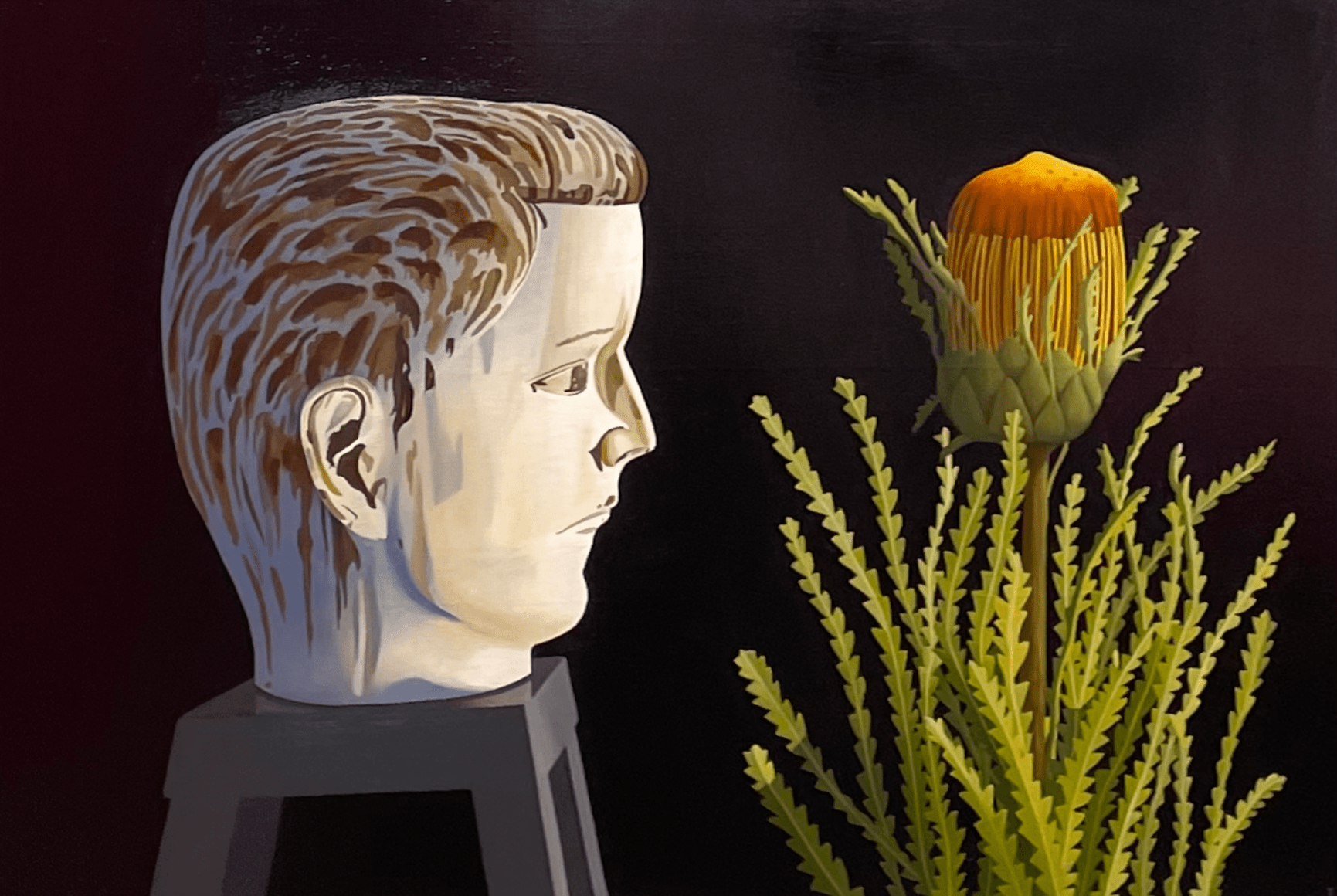 Tom McKinley Doug and Dryandra Formosa, 2023