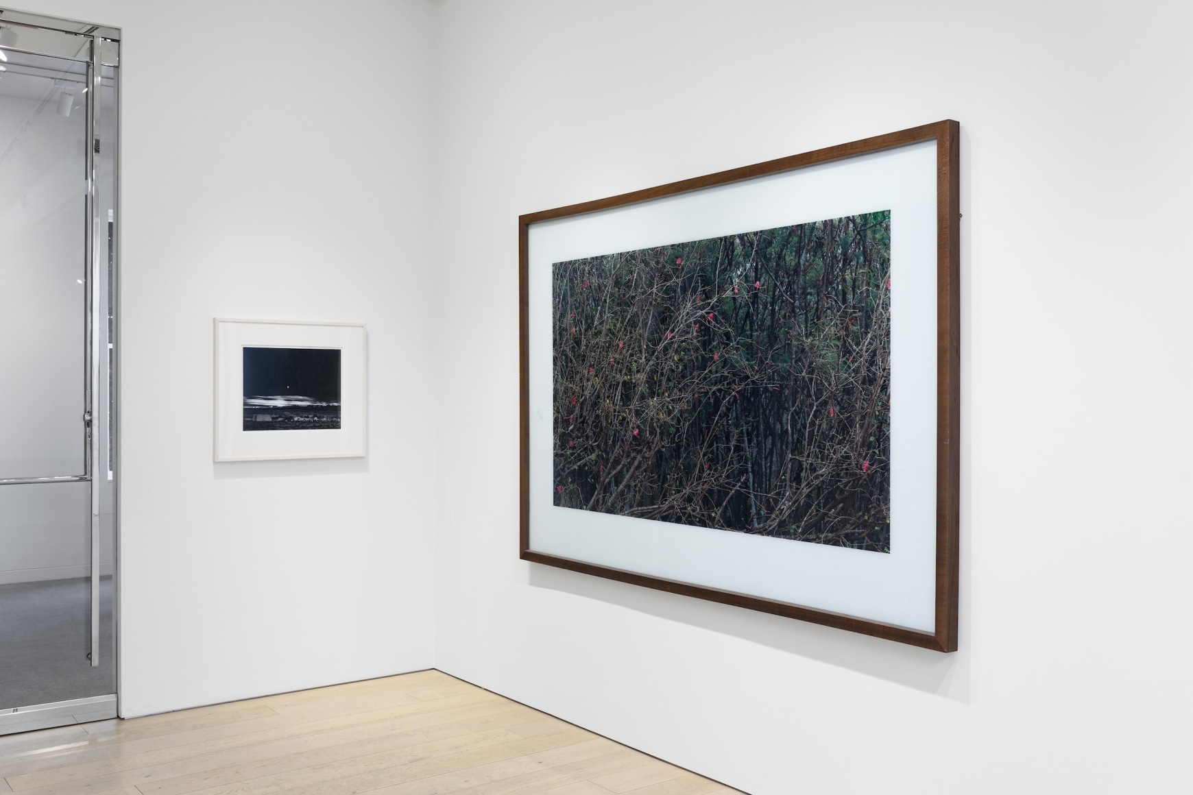 Installation photography by Shaun Roberts.