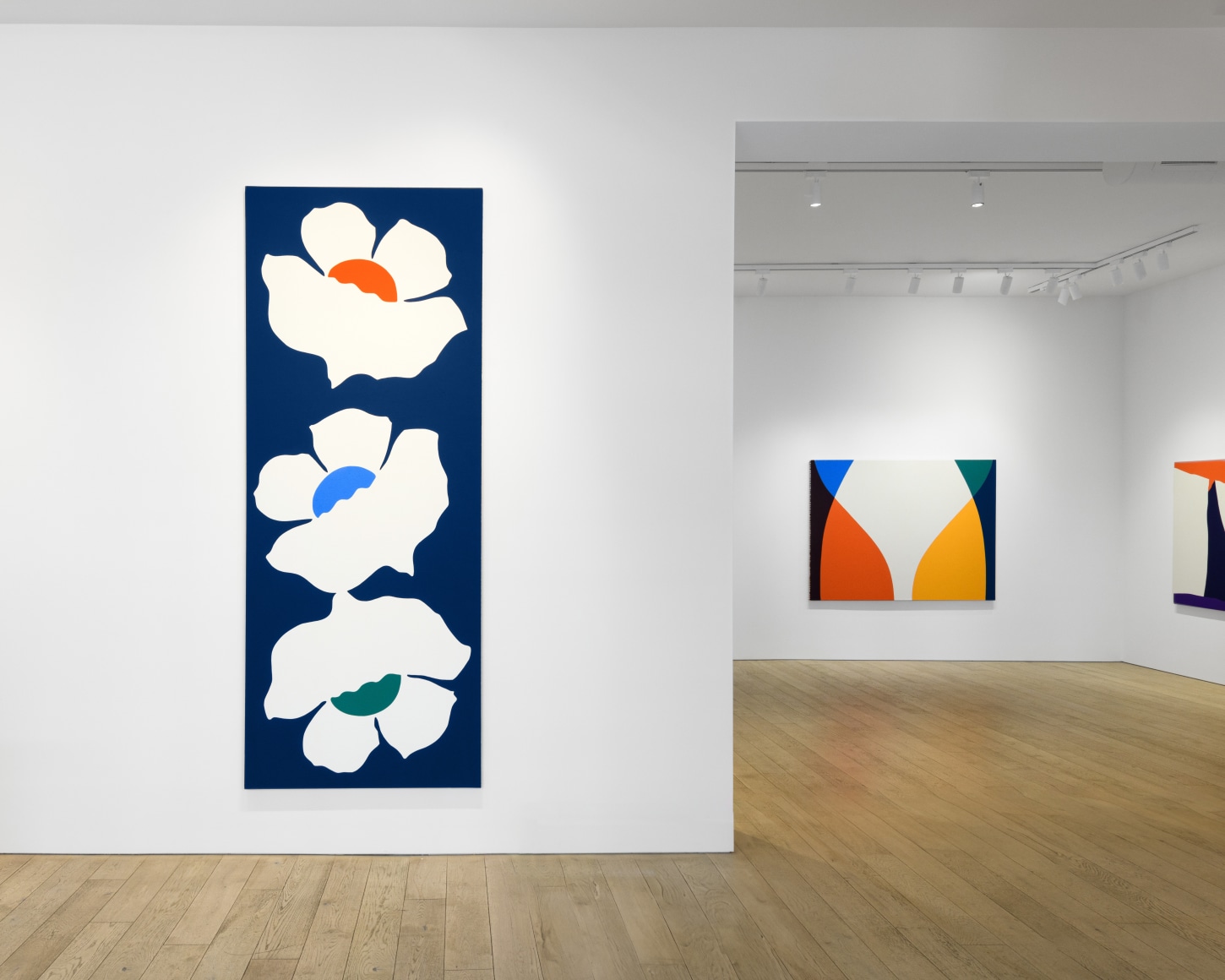 Installation photography by Shaun Roberts.