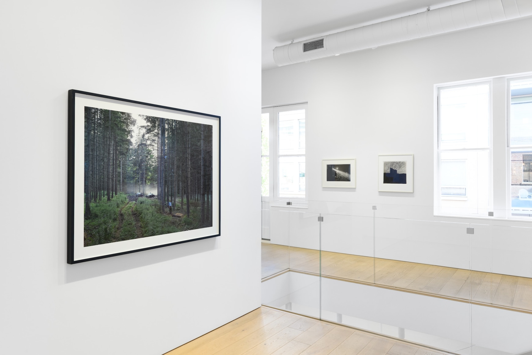 Installation photography by Shaun Roberts.