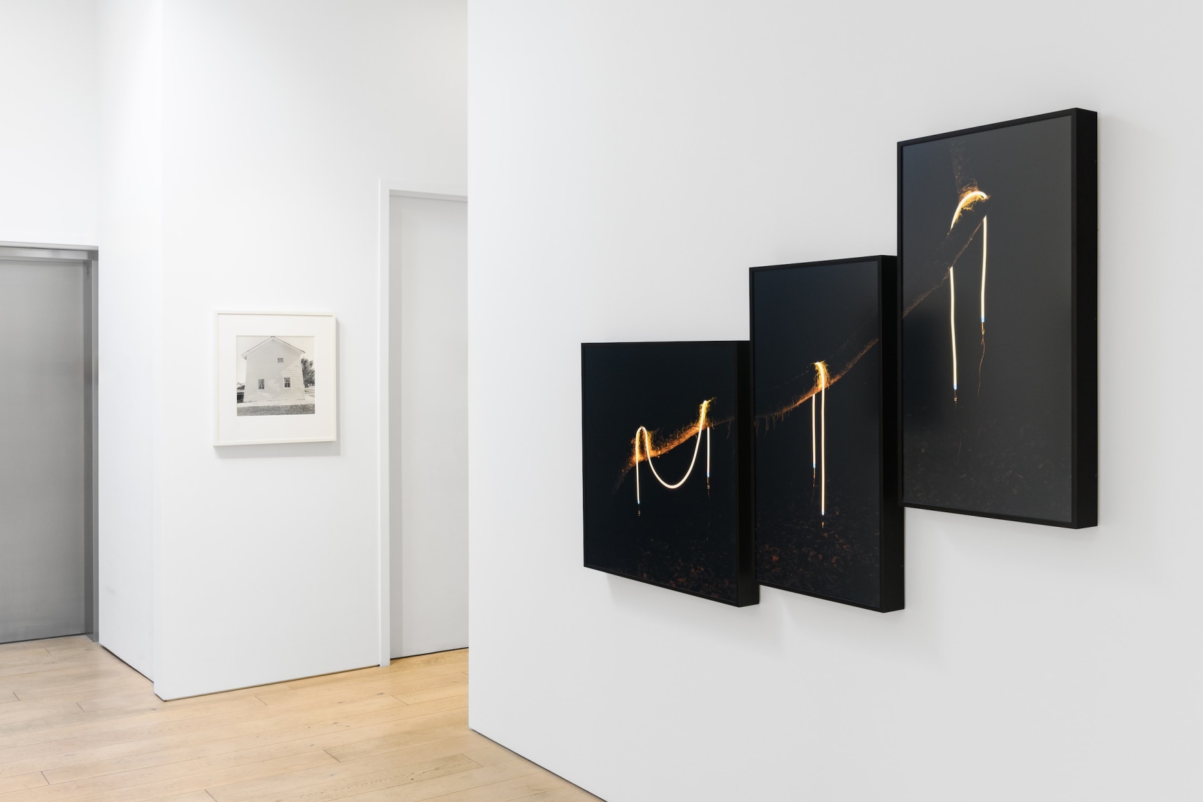 Installation photography by Shaun Roberts.