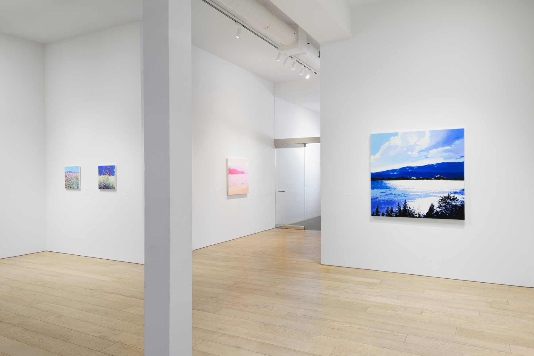 Installation photography by Shaun Roberts