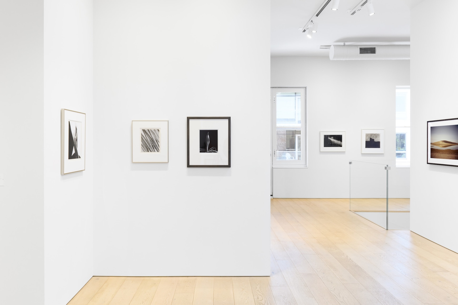 Installation photography by Shaun Roberts.