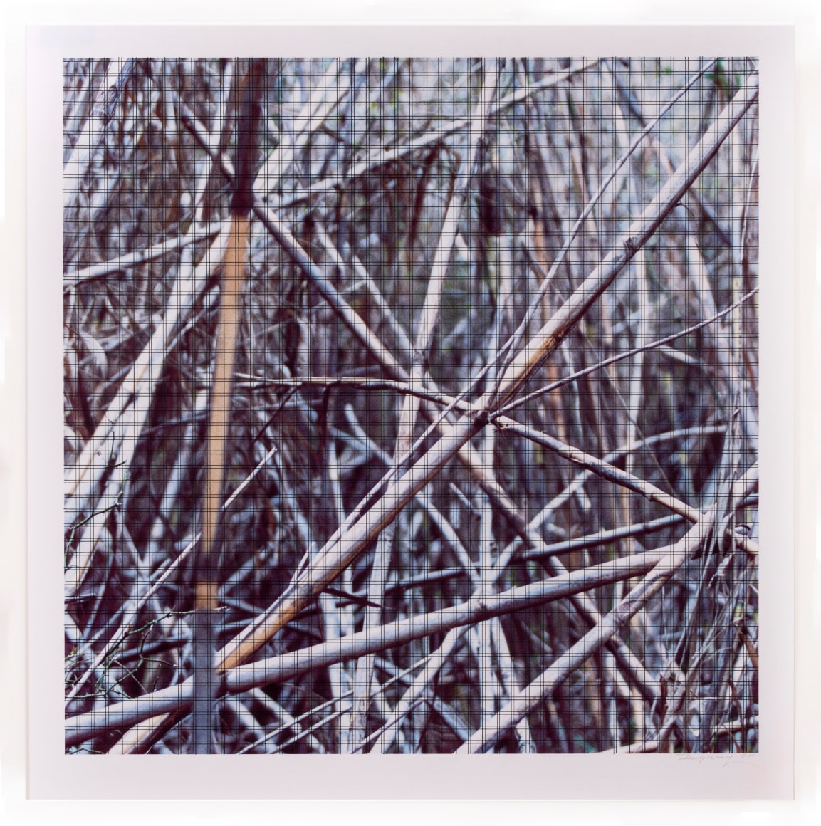 Linda Ridgway The Wall, 2022