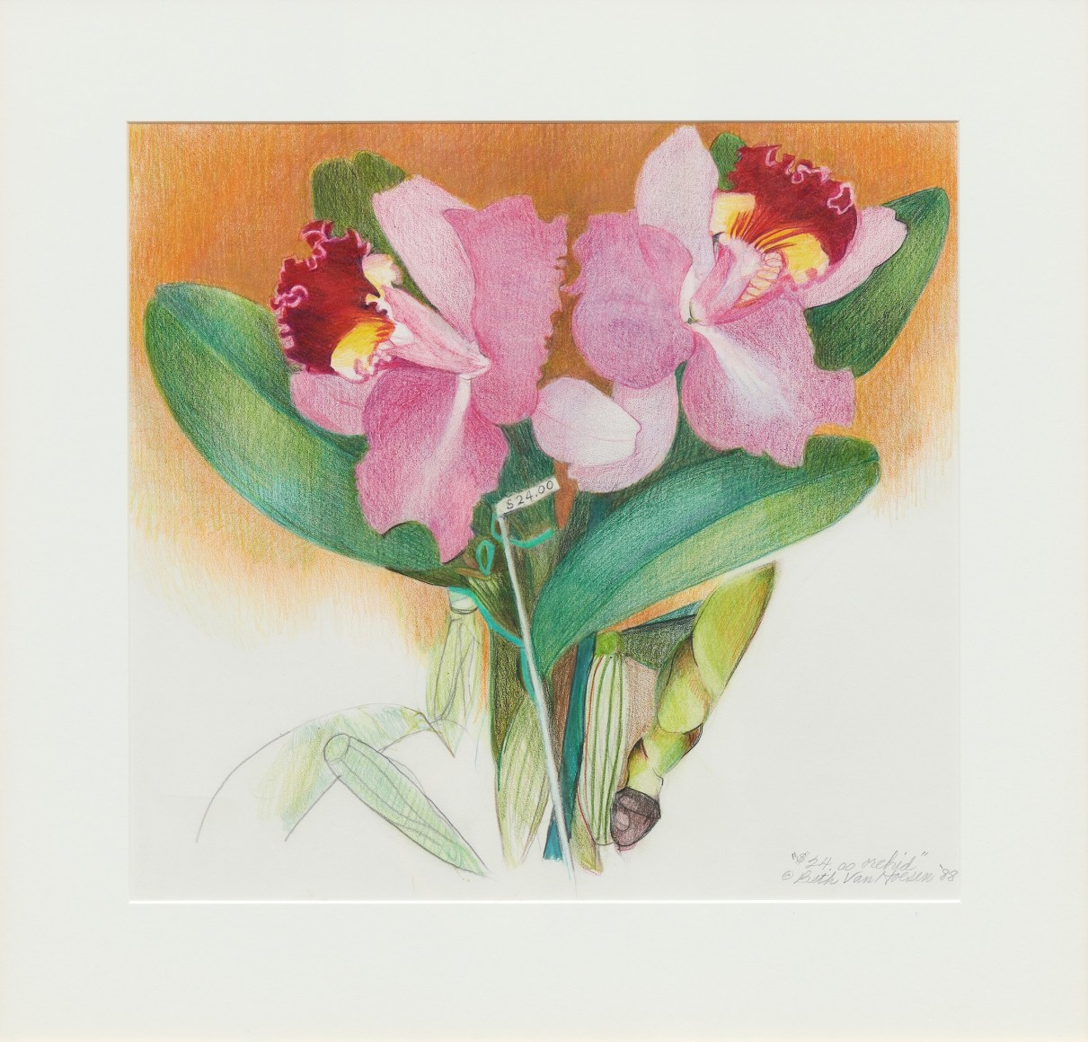 Beth Van Hoesen