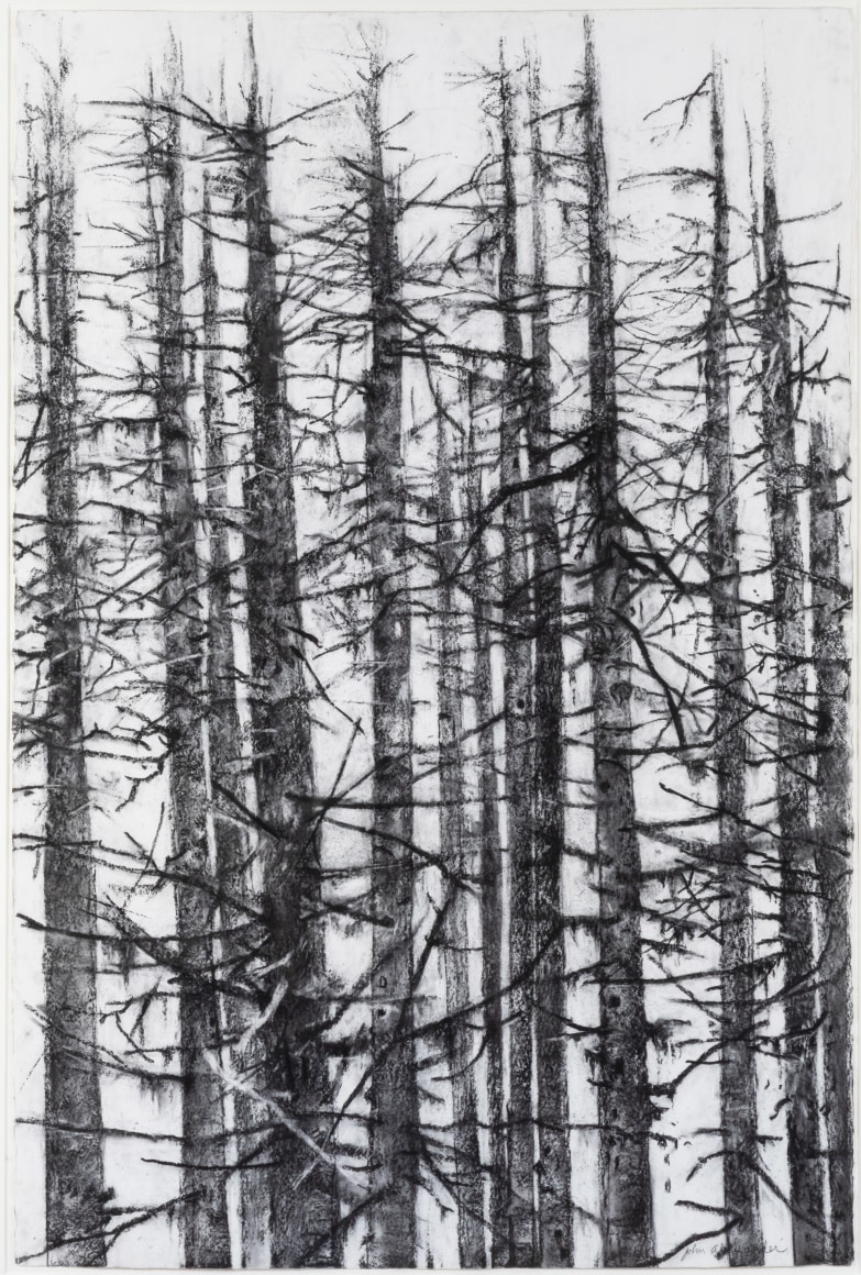 John Alexander Landscape and Memory, 2019