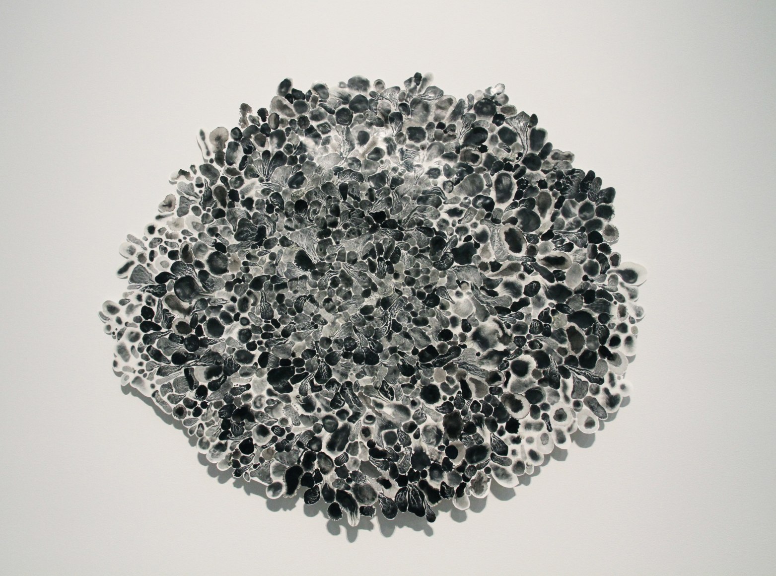 Mark Fox Shallow Field Sluggo #1, 2013