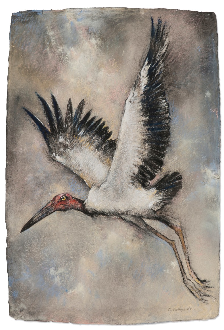 John Alexander, North American Woodstork, 2016    